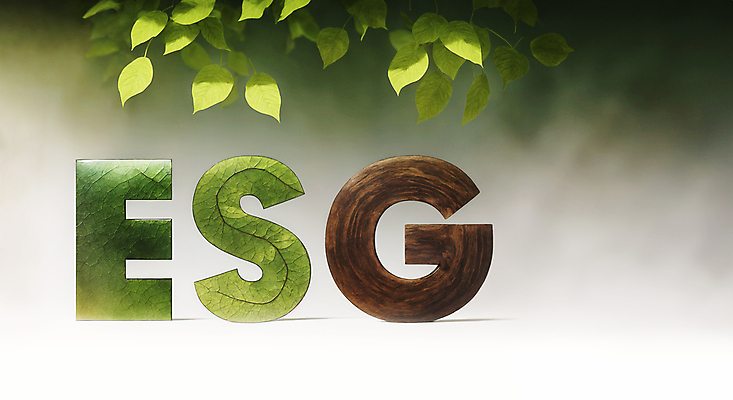 JPG 편집이미지 알파벳 나뭇잎 타이포그라피 사람없음 목재 디지털합성 에코 친환경 경영 편집소스 ESG 편집실사 AI컴퓨터그래픽 AI콘텐츠 나무 문자 영어 잎 비즈니스 재료 환경 CG 파일형식