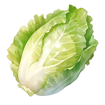 JPG 채소 일러스트 재료 수채화 사람없음 초록색 오브젝트 배추 김장 김장재료 국내일러스트 AI일러스트 AI콘텐츠 컬러 식재료 파일형식
