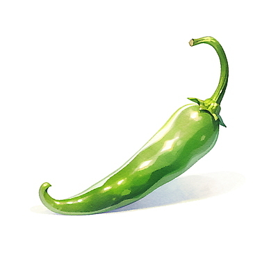 JPG 채소 일러스트 재료 고추 수채화 사람없음 초록색 오브젝트 풋고추 김장 김장재료 국내일러스트 AI일러스트 AI콘텐츠 컬러 식재료 파일형식