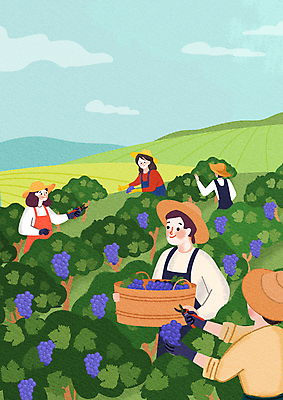 PSD 구름 여자 남자 농업 일러스트 하늘 포도 가위 들기 여러명 상반신 성인 농장 바구니 수확 농부 밀짚모자 포도밭 성인만 국내일러스트 자연요소 직업 모자_잡화 산업 다수 밭 과일 모션 문구용품 사람 파일형식