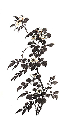 JPG 꽃 일러스트 붓터치 수채화 수묵화 사람없음 나뭇가지 번짐 국내일러스트 AI일러스트 AI콘텐츠 나무 식물 미술 파일형식 효과