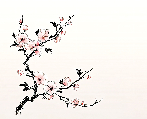 JPG 분홍색 일러스트 붓터치 수채화 수묵화 사람없음 벚꽃 나뭇가지 번짐 국내일러스트 AI일러스트 AI콘텐츠 나무 꽃 컬러 미술 파일형식 효과