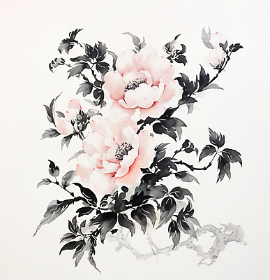 JPG 일러스트 붓터치 수채화 수묵화 사람없음 번짐 모란 작약 국내일러스트 AI일러스트 AI콘텐츠 꽃 미술 파일형식 효과