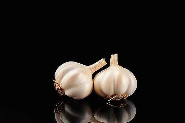 JPG 편집이미지 마늘 사람없음 반사 두개 통마늘 편집실사 AI포토 AI콘텐츠 2 채소 CG 파일형식