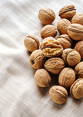 JPG 편집이미지 사람없음 갈색 견과류 디지털합성 오브젝트 호두 편집소스 편집실사 AI포토 AI콘텐츠 컬러 CG 파일형식