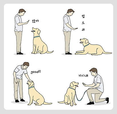 전신 교육 남자 반려견 엎드리기 여러마리 일러스트 서기 앉기 여러명 성인 반려동물 마주보기 가르침 리트리버 무릎꿇기 규칙 목줄 칭찬 훈련자 성인남자만 무릎구부리기 쓰다듬기 애견훈련 국내일러스트 AI파일 동물 포즈 다수 모션 사람 개 연습 남자만 성인만 파일형식 벡터 반려용품
