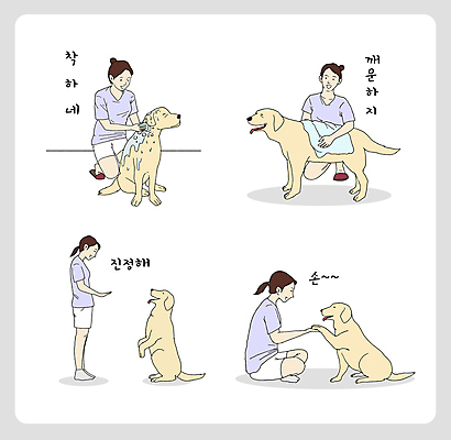 전신 여자 교육 반려견 여러마리 일러스트 서기 앉기 여러명 성인 반려동물 수건 마주보기 손잡기 목욕 가르침 리트리버 규칙 닦기 애견미용 훈련자 성인여자만 씻겨주기 애견훈련 국내일러스트 AI파일 동물 다수 모션 사람 위생용품 뷰티 청결 개 연습 여자만 성인만 파일형식 벡터