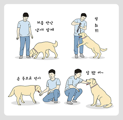 전신 교육 남자 반려견 여러마리 일러스트 고개숙이기 앉기 여러명 성인 반려동물 인사 잡기 가르침 당기기 리트리버 냄새 규칙 손등 목줄 웅크림 칭찬 훈련자 엄격한 성인남자만 쓰다듬기 애견훈련 국내일러스트 AI파일 동물 손 다수 모션 숙이기 사람 예절 개 연습 남자만 성인만 파일형식 벡터 반려용품