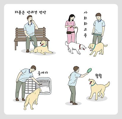 전신 여자 교육 남자 반려견 벤치 여러마리 일러스트 놀이 앉기 여러명 성인 친구 반려동물 산책 만남 인사 잡기 가르침 리트리버 편안함 하품 규칙 원반 원반던지기 훈련자 성인만 애견훈련 국내일러스트 켄넬 반려용품 AI파일 동물 스포츠용품 다수 컨셉 의자 관계 모션 휴식 사람 예절 감각 개 연습 오브젝트 생리현상 파일형식 벡터