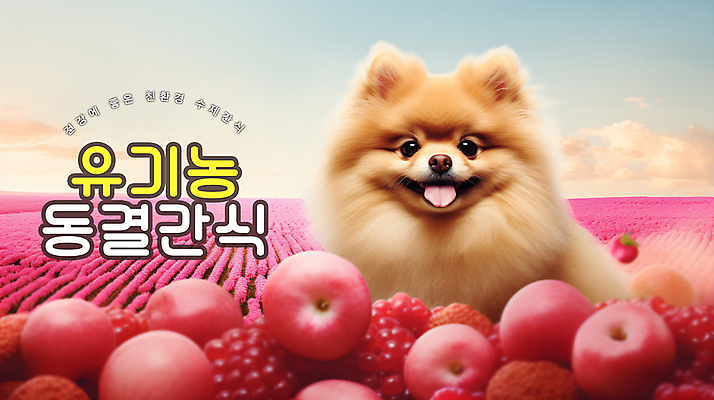 PSD 편집이미지 행복 반려견 하늘 타이포그라피 사람없음 반려동물 강아지 사과 산딸기 애견간식 포메라니안 프리미엄 핸드메이드 펫푸드 이미지편집 동물 문자 감정 과일 개 애견용품 파일형식