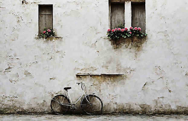 JPG 벽 일러스트 자연 주택 풍경 사람없음 담장 장미 자전거 창가 감성 유화 국내일러스트 AI일러스트 AI콘텐츠 꽃 컨셉 창문 미술 건물 바이크 생태계 파일형식