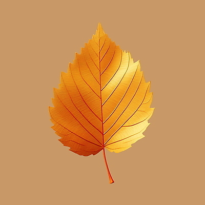 PSD 아이콘 낙엽 잎 나뭇잎 사람없음 3D아이콘 3D 주황색 가을 디지털합성 식물 계절 컬러 파일형식