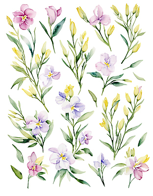 꽃 잎 일러스트 수채화 사람없음 세트 심플 감성 엘리먼트 국내일러스트 AI파일 식물 컨셉 파일형식 벡터