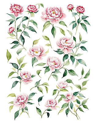 꽃 분홍색 잎 일러스트 수채화 사람없음 초록색 세트 심플 감성 엘리먼트 국내일러스트 AI파일 식물 컬러 컨셉 파일형식 벡터