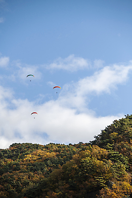 포토 JPG 구름 자연 하늘 산 풍경 사람없음 가을 힐링 패러글라이딩 단양 국내포토 자연요소 계절 스포츠 생태계 충청북도 파일형식