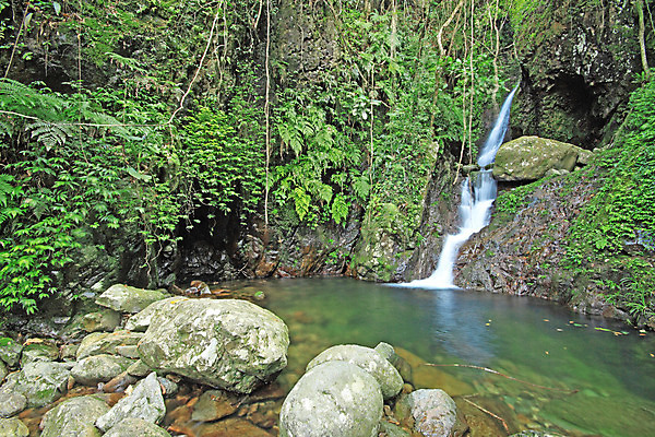 포토 JPG 해외이미지 나무 계절 공원 여행 잎 모션 자연 휴식 이끼 풍경 사람없음 야외 초록색 물 여름 빛 햇빛 평화 환경 침묵 봄 폭포 젖음 흐름 가을 바위 신선 액체 개울 떨어짐 숲 장면 암초 내추럴 해외202004 해외포토 자연요소 식물 공공시설 컬러 컨셉 강 태양 소리 돌_바위 생태계 파일형식