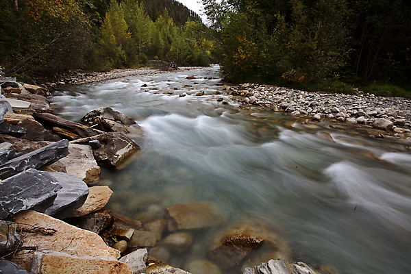 포토 JPG 해외이미지 나무 여행 캐나다 풍경 사람없음 가로 물 디지털 가을 시골 황무지 암초 해외202004 해외포토 자연요소 식물 계절 북아메리카 파일형식