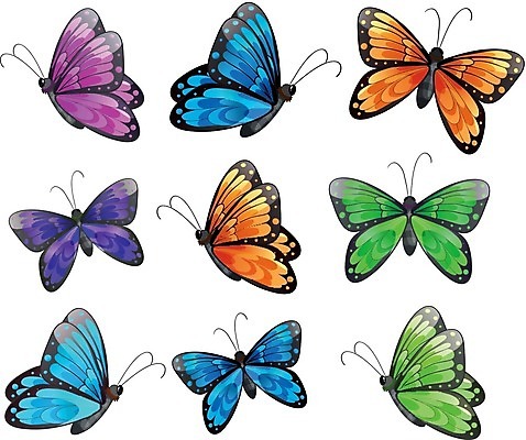 EPS 해외이미지 템플릿 디자인 꽃 분홍색 나비 곤충 백그라운드 날개 오렌지 일러스트 안테나 그래픽 초록색 파란색 컬러풀 머리 정원 흰색 9 그룹 흉부 제비꽃 그림 꿀 정맥 고립 복부 많음 해외202004 해외일러스트 식물 동물 컬러 컨셉 과일 통신 신체부위 숫자 호흡기관 혈관 파일형식 벡터