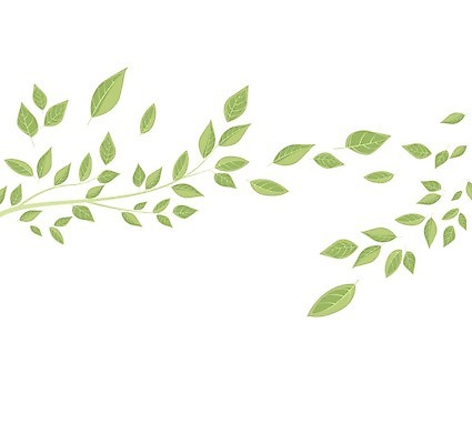 EPS 해외이미지 나무 식물 디자인 백그라운드 잎 일러스트 추상 나뭇잎 미술 사람없음 그래픽 장식 초록색 흰색 해외202004 해외일러스트 컬러 무늬 문화예술 파일형식 벡터