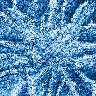 포토 JPG 해외이미지 문화 과학 백그라운드 추상 생물 세포 엑스레이 실험 사람없음 스터디 웹 성장 원형 실험실 생명공학 질감 생물학 미생물 촉수 박테리아 곰팡이 식민지 해외202004 해외포토 도형 교육 무늬 인터넷 의학 학습 파일형식