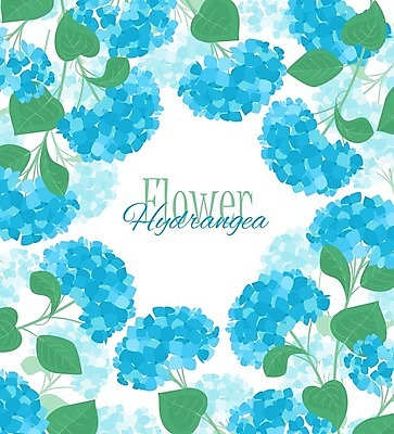 EPS 해외이미지 백그라운드 잎 일러스트 프레임 타이포그라피 사람없음 파란색 우아함 수국 카피스페이스 해외202004 해외일러스트 식물 문자 꽃 컬러 컨셉 공백 파일형식 벡터