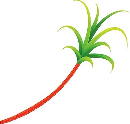 EPS 해외이미지 잎 농업 과일 일러스트 자연 디저트 건강 빨간색 초록색 빛 주스 달콤 설탕 심볼 유기농 엘리먼트 사탕수수 맛있는 해외202004 해외일러스트 식물 웰빙 산업 음료 음식 컬러 맛 생태계 파일형식 벡터