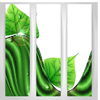 EPS 해외이미지 모양 식물 템플릿 디자인 배너 선 파도 백그라운드 컨셉 잎 꽃무늬 패턴 곡선 일러스트 비즈니스 자연 벽지 추상 미술 그래픽 장식 초록색 빛 세계 우주 웹 봄 공백 흐름 에너지 신선 신용카드 떨어짐 실크 심볼 에코 질감 내추럴 생태학 엘리먼트 해외202004 해외일러스트 계절 교육 꽃 바다 컬러 무늬 인터넷 문화예술 금융 환경 직물 생태계 파일형식 벡터