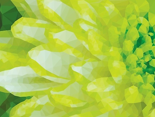 EPS 해외이미지 식물 1 꽃잎 꽃 백그라운드 꽃무늬 패턴 일러스트 자연 벽지 추상 국화 장식 초록색 여름 컬러풀 머리 봄 활발 벚꽃 신용카드 개화 우아함 닫기 삼각형 달리아 묘사 오브젝트 싱글 질감 데이지 향기 엽서 거베라 취급주의 폴리곤 해외202004 해외일러스트 도형 계절 컬러 컨셉 무늬 모션 경고 신체부위 금융 편지 생태계 냄새 파일형식 벡터