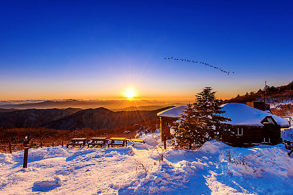 포토 JPG 해외이미지 구름 계절 실루엣 아시아 겨울 자연 조류 하늘 아침 휴가 산 한국 풍경 사람없음 야외 태양 일출 일몰 추위 흰색 언덕 남쪽 웅장함 절정 눈내림 해외202004 해외포토 주간 자연요소 동물 나라 컬러 눈_날씨 촬영기법 노을 방향 생태계 파일형식