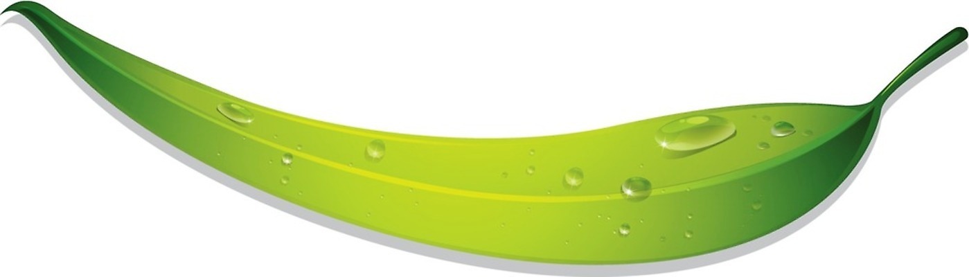 EPS 해외이미지 클립아트 식물 1 클리핑패스 줄기 컨셉 잎 일러스트 목걸이 부분 자연 초록색 물 빛 반짝임 환경 청결 활발 젖음 흐름 물방울 신선 떨어짐 이슬 수분 만화 구슬 순수 오브젝트 싱글 흰배경 질감 리빙 정맥 고립 구슬장식 엘리먼트 해외202004 해외일러스트 자연요소 컬러 백그라운드 장신구 모션 장식 흰색 위생 생태계 혈관 파일형식 벡터