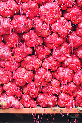 포토 JPG 해외이미지 음식 농업 채소 가방 자연 양파 건강 사람없음 빨간색 수확 신선 오르간 유기농 날것 자루 목록 숙성 해외202309 해외포토 웰빙 잡화 산업 컬러 건반악기 생태계 파일형식