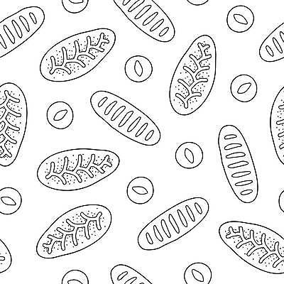 EPS 해외이미지 손 디자인 종이 음식 백그라운드 패턴 일러스트 요리 그래픽 상점 주방 식당 검은색 식사 웹 카페 빵집 껍질 흰색 달콤 맛 아침식사 낙서 인쇄 낟알 시리얼 밀 굽기 먹기 메뉴 그림 윤곽 퍼프 손그림 패키지 베이글 덩어리 번 페스츄리 벡터 맛있는 해외202309 해외일러스트 빵 컬러 컨셉 무늬 인터넷 모션 곡류 신체부위 구이 파일형식