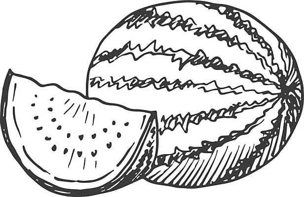 EPS 해외이미지 식물 손 디자인 선 음식 조각 백그라운드 과일 일러스트 자연 디저트 수박 잉크 흑백 건강 요리 미술 그래픽 여름 검은색 주스 수확 흰색 신선 신용카드 달콤 인쇄 스케치 자르기 메뉴 그림 유기농 윤곽 판화 비타민 고립 숙성 이국적 채식주의자 벡터 해외202309 해외일러스트 웰빙 계절 음료 컬러 농업 모션 문화예술 촬영기법 신체부위 금융 맛 생태계 채식 영양소 파일형식