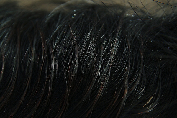 포토 JPG 해외이미지 동물 백그라운드 포유류 사람없음 물 빛 검은색 어둠 젖음 닫기 떨어짐 질감 갈기 해외202309 해외포토 자연요소 컬러 컨셉 모션 파일형식