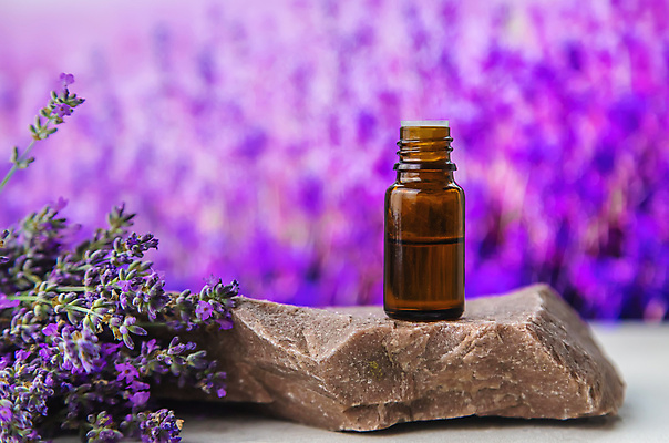 포토 JPG 해외이미지 사람없음 보라색 라벤더 공병 라벤더오일 해외202309 해외포토 꽃 컬러 오일_화장품 허브 병_담는 파일형식