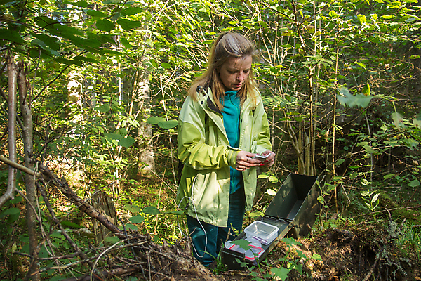 포토 JPG 해외이미지 손 여행 자연 놀이 모바일 항해 한명 사람 취미 야외 목재 스마트폰 핸드폰 여행객 하이킹 게임 잡기 숲 검색 보물 네비게이션 발견 GPS 항해사 해외202309 해외포토 나무 직업 1 배_교통 재료 모션 레저 신체부위 전자제품 스마트기기 생태계 파일형식
