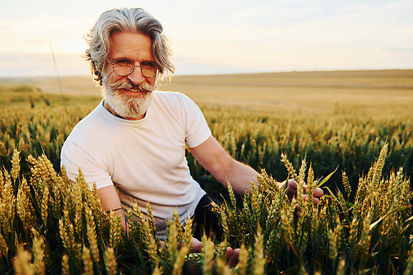 포토 JPG 해외이미지 노년 남자 농업 한명 상반신 앞모습 농경지 농사 시골 잡기 농부 밀밭 노인남자한명만 안경낌 해외202309 해외포토 직업 1 산업 안경 뷰포인트 밭 모션 사람 성인 농장 밀 남자한명만 노인남자만 파일형식
