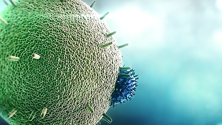 포토 JPG 해외이미지 컬러 과학 무지개 신체 세포 건강 사람 사람없음 파란색 고통 바이러스 목표 질병 공격 피부 생물학 감염 전염 미생물 암 박테리아 단백질 인플루엔자 전염병 생존 해외202309 해외포토 자연요소 교육 감정 컨셉 의학 모션 생물 신체부위 영양소 파일형식