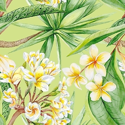 포토 JPG 해외이미지 나무 식물 꽃 백그라운드 잎 꽃무늬 패턴 일러스트 자연 벽지 수채화 손바닥 사람없음 장식 초록색 여름 빛 컬러풀 정원 봄 수확 벚꽃 흰색 직물 신선 인쇄 그림 질감 하와이 이국적 파라다이스 알로하 해외202309 해외일러스트 손 계절 컬러 무늬 농업 미국 인사 생태계 파일형식