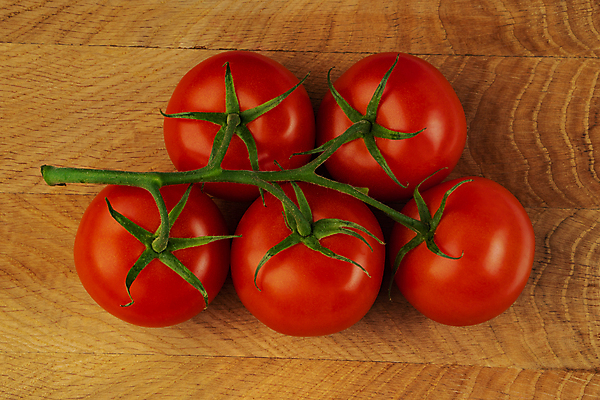 포토 JPG 해외이미지 식물 음식 줄기 컬러 백그라운드 잎 농업 다이어트 토마토 채소 과일 재료 자연 건강 요리 사람없음 빨간색 초록색 샐러드 흰색 나뭇가지 신선 원형 체리 그룹 맛 정상 작음 케첩 다발 먹기 유기농 날것 포도나무 내추럴 고립 숙성 채식주의자 많음 맛있는 해외202309 해외포토 도형 나무 웰빙 산업 컨셉 모션 소스_음식 크기 과일나무 생태계 채식 파일형식