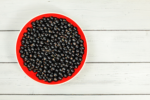 포토 JPG 해외이미지 식물 접시 계절 열매 음식 백그라운드 과일 자연 탁자 디저트 건강 사람없음 목재 컵 빨간색 검은색 흰색 시골 신선 판넬 도자기 그룹 사발 달콤 맛 정상 책상 상쾌 유기농 날것 내추럴 항공촬영 건포도 백자 숙성 채식주의자 맛있는 해외202309 해외포토 나무 식기 웰빙 감정 뷰포인트 컬러 가구 컨셉 재료 포도 사기그릇 생태계 채식 건과일 파일형식