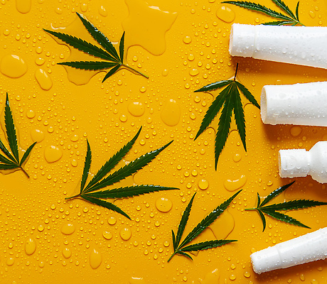 포토 JPG 해외이미지 백그라운드 잎 자연 사람없음 아웃포커스 주황색 화장품 신선 수분 내추럴 해외202309 해외포토 식물 컬러 촬영기법 뷰티 생태계 파일형식