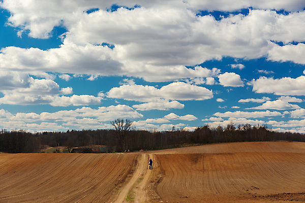 포토 JPG 해외이미지 나무 라이프스타일 남자 도로 여행 백그라운드 밭 배낭 자연 하늘 휴가 건강 사람 사람없음 야외 파란색 뷰티 여행객 카메라 자전거 봄 자유 시골 숲 사진사 언덕 내추럴 무료 해외202309 해외포토 식물 계절 길 컬러 컨셉 농업 가방 교통시설 생활 전자제품 바이크 작가 생태계 파일형식