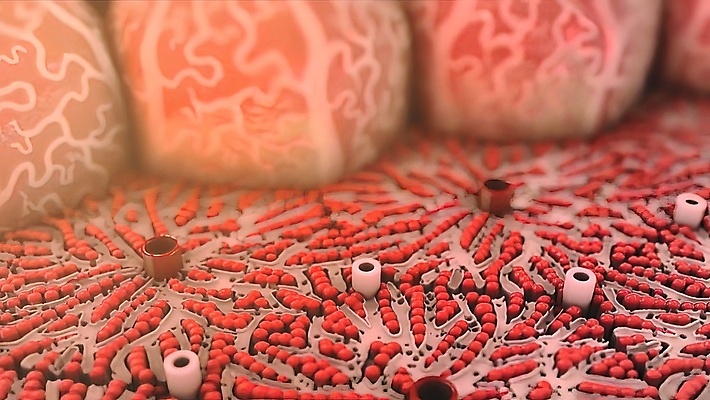 포토 JPG 해외이미지 남자 과학 백그라운드 신체 해부 건강 사람 사람없음 내부 치료 빨간색 약 3D 인포그래픽 고통 흰색 오르간 질병 공격 비만 생물학 간 암 외과 고립 돌봄 염증 증상 해외202309 해외포토 교육 감정 컬러 의학 모션 병원 장기_의학 건반악기 몸매 디지털합성 파일형식