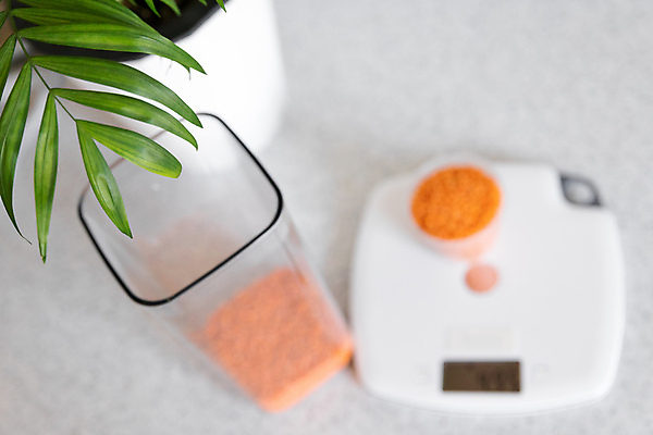 포토 JPG 해외이미지 잎 저울 사람없음 컵 계산 준비 계량 렌즈콩 해외202309 해외일러스트 식물 식기 파일형식