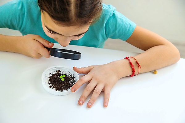 포토 JPG 해외이미지 나무 식물 학생 배너 교육 행복 지구 어린이 과학 백그라운드 컨셉 교실 학교 자연 유리 돋보기 주택 씨앗 한명 사람 초록색 물 세계 새싹 행성 성장 흰색 아기 잡기 투명 실험실 확대 분석 소셜 필터 카피스페이스 해외202309 해외포토 자연요소 1 감정 컬러 모션 재질 실험 건물 우주 공백 생태계 파일형식