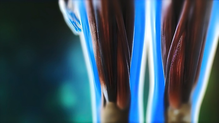 포토 JPG 해외이미지 손 남자 과학 신체 일러스트 해부 근육 추상 콩 골격 세포 건강 사람 사람없음 약 머리 3D 감각 조직 터널 질병 매끈함 불안 척추 뇌 생물학 신호 시스템 모터 돌봄 제어 많음 해외202309 해외포토 교육 감정 길 컨셉 무늬 의학 모션 곡류 뼈 신체부위 디지털합성 파일형식