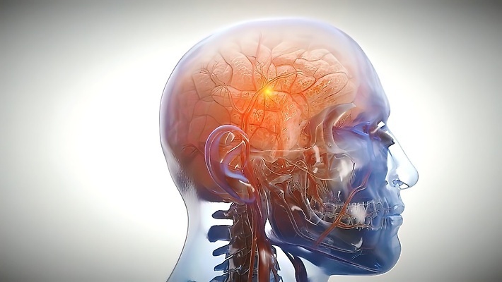 포토 JPG 해외이미지 사람모양 사람없음 3D 뇌 생물학 신경기관 반응 생명과학 자극 해외202309 해외포토 모양 교육 과학 장기_의학 디지털합성 파일형식