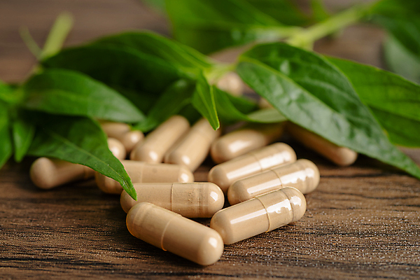 포토 JPG 해외이미지 건강 사람없음 알약 약 허브 유기농 나무배경 해외202309 해외포토 식물 웰빙 백그라운드 의학 파일형식