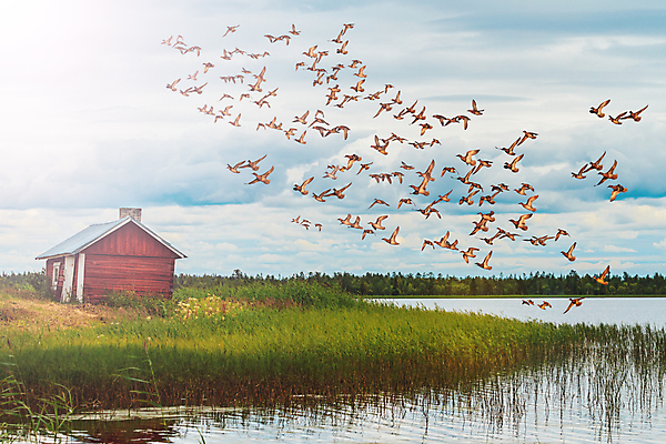 포토 JPG 해외이미지 구름 전통 바다 섬 여행 백그라운드 겨울 건축양식 자연 하늘 휴가 산 주택 노르웨이 풍경 사람없음 야외 건물 목재 빨간색 물 여름 파란색 빛 뷰티 얼음 일몰 추위 시골 고독 언덕 시골집 빙하 북쪽 스칸디나비아 혼자 해외202309 해외포토 자연요소 나무 건축물 계절 건축 감정 유럽 컬러 재료 노을 방향 생태계 파일형식